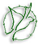 Irish Northen Aid Logo